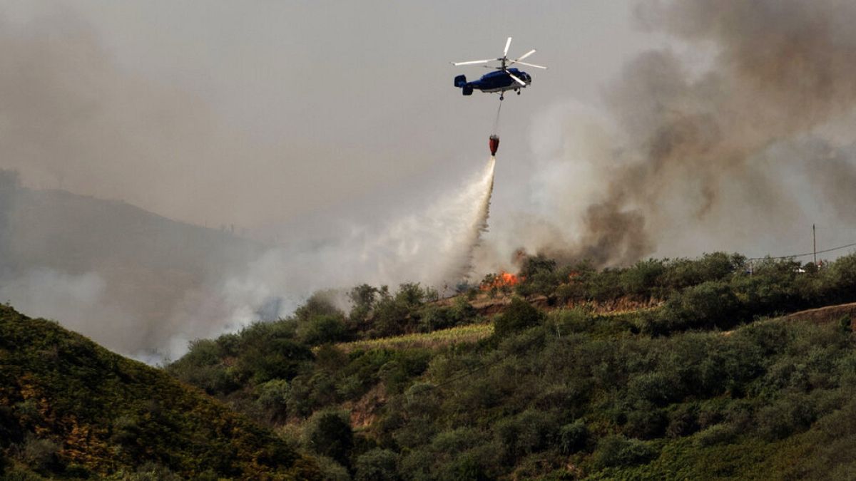 İspanya'da 6 gündür devam eden orman yangınlarına 50 uçak ve helikopterden oluşan bir filo müdahale ediyor.