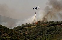 İspanya'da 6 gündür devam eden orman yangınlarına 50 uçak ve helikopterden oluşan bir filo müdahale ediyor.