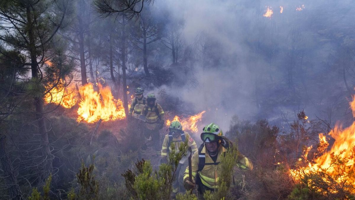 Bomberos luchan contra las llamas cerca de Jubrique, en la provincia de Málaga (España)