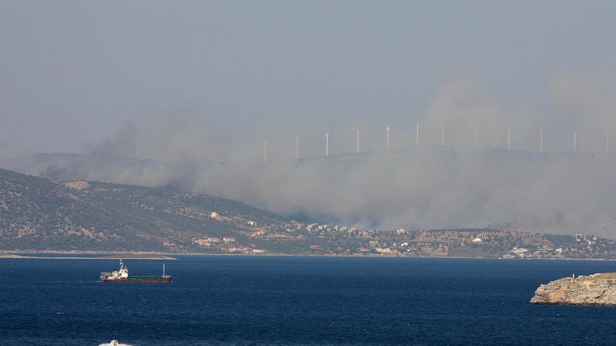  تحطم طائرة إطفاء حريق في جزيرة إيفيا، شمال غرب أثينا، الاثنين 23 يوليو 2007.