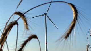 Wind des Wandels - Energiewende stellt Deutschland vor große Herausforderungen