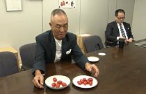 Japonya'da GDO'lu domatesler sofralarda yer almaya başladı