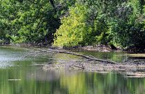UNESCO dichiara Riserva della biosfera la regione fluviale Mura-Drava-Danubio