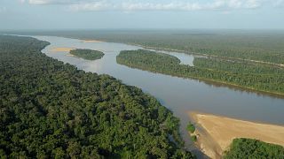 Amazon rainforest, Brazil