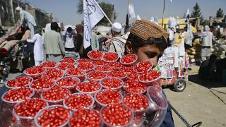 A boy selling pomegranate looks for customers at a temporary second-hand market in Kabul.