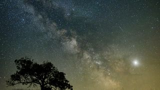 La tête dans les étoiles... L'astrotourisme défend le ciel nocturne contre la pollution lumineuse