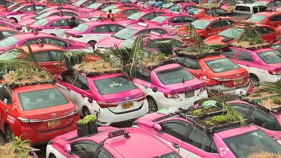 سائقو سيارات الأجرة يزرعون الخضار في سيارات الأجرة المهجورة في تايلاند. 