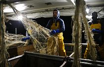 Kampf um fairen und grünen Fischfang in der EU
