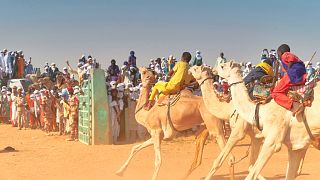Niger hosts major Sahara camel race in the desert