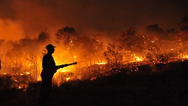A firefighter sprays water at a burning forest near Nea Makri, north of Athens, on Monday, Aug. 24, 2009