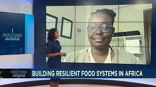 African countries unite to build resilient food systems {Business Africa}