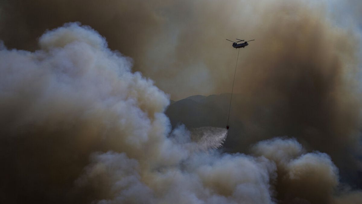 Muğla'nın Köyceğiz ilçesinde orman yangını. 9 Ağustos 2021