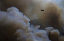 Muğla'nın Köyceğiz ilçesinde orman yangını. 9 Ağustos 2021