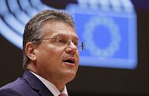 European Commissioner for Inter-institutional Relations and Foresight Maros Sefcovic