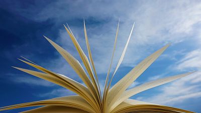 The sky's the limit with literary fiction