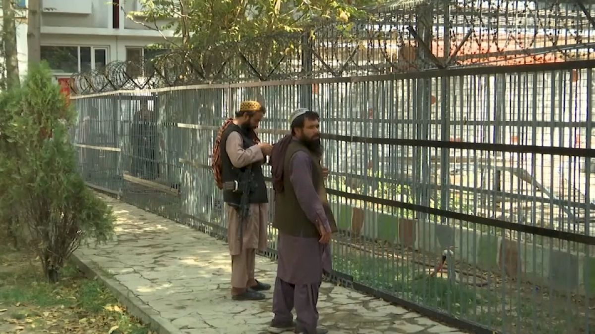 مقاتلو طالبان في حديقة حيوان كابول.