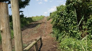 Ouganda : une clôture électrique contre le braconnage