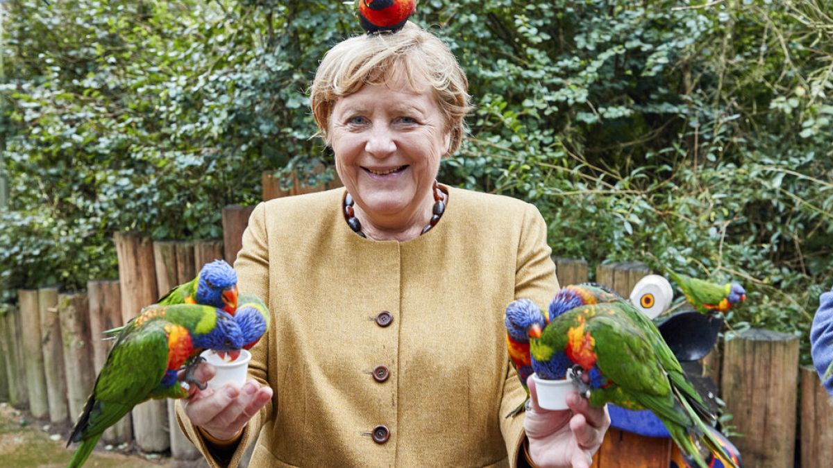 Angela Merkel mit Vögeln in Marlow vor der Bundestagswahl
