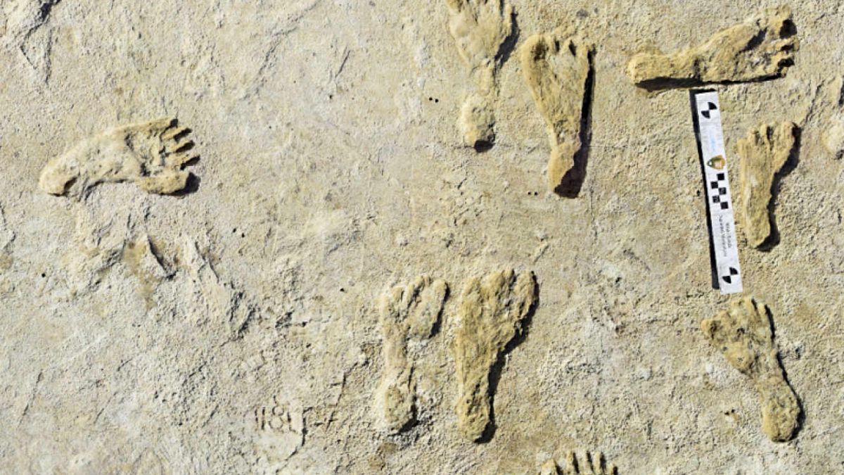 ABD'de 23 bin yıl öncesinde dayanan ayak izleri