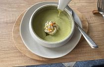 Zucchini velouté (soup) with fresh goat cheese and herbs