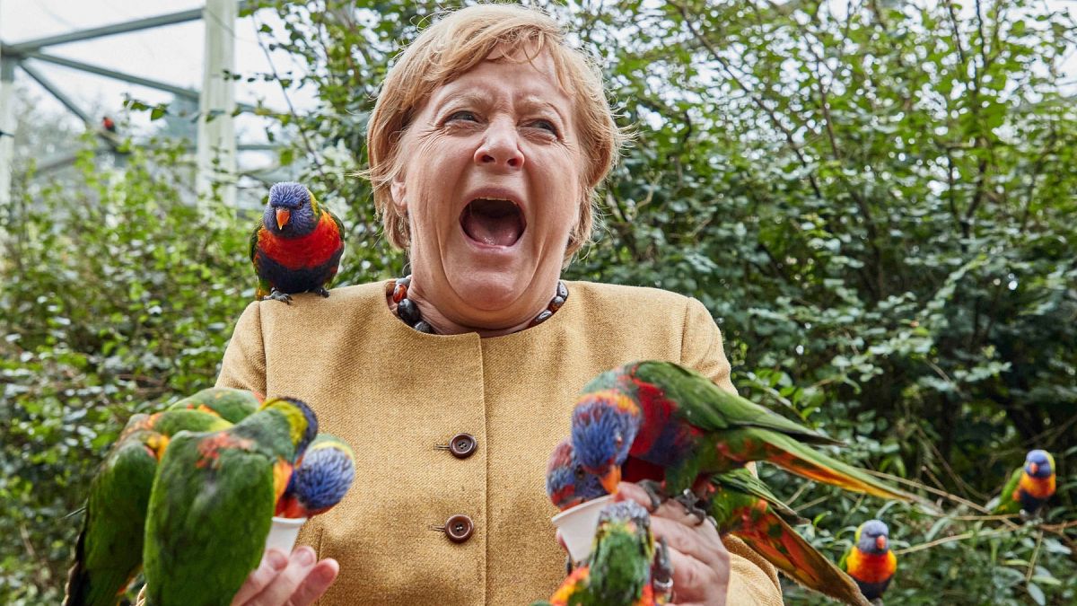 Almanya Başbakanı Angela Merkel, İngiltere, Marlow'da bir kuş parkını ziyaret ederken.