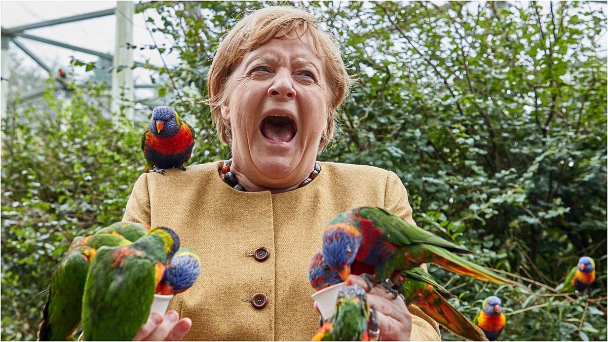 المستشارة الألمانية أنغيلا ميركل تتلقى نقرة من ببغاوات حطت إلى يديها أثناء زيارتها لحديقة الطيور في ولاية مكلنبورغ فوربومرن 