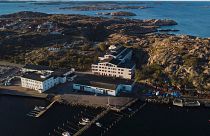 The seaweed factory