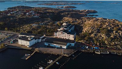 The seaweed factory The seaweed factory