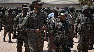 Paul Kagamé rend visite aux soldats rwandais déployés au Mozambique