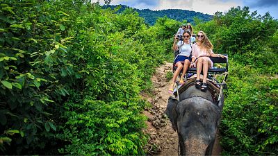 Why riding an elephant on holiday is unethical and cruel Why riding an elephant on holiday is unethical and cruel