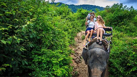 Why riding an elephant on holiday is unethical and cruel