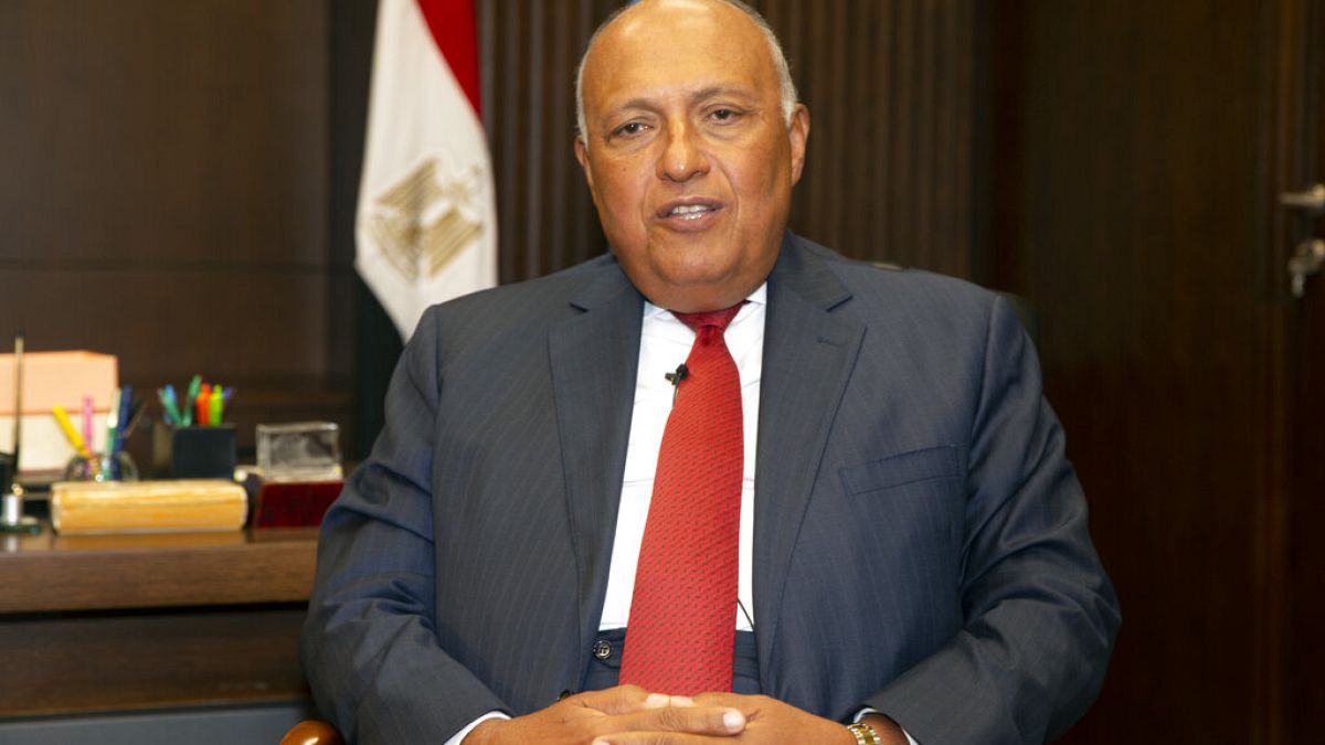 Mısır Dışişleri Bakanı Samih Şukri