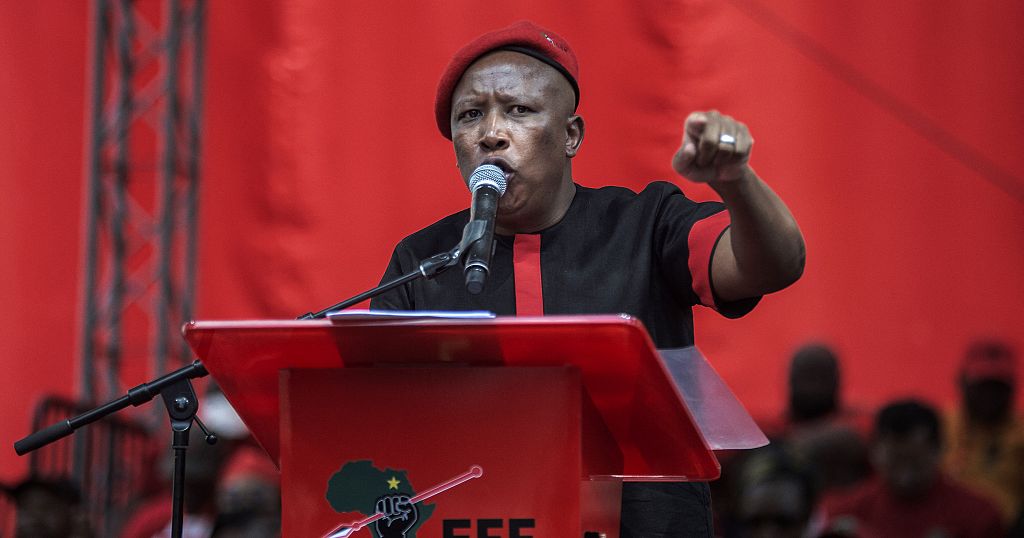 S.Africa: EFF's Malema wants 'incapable' ANC out of local government