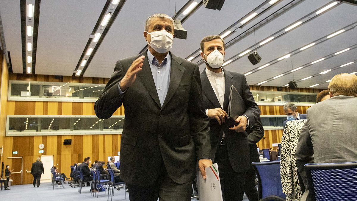 محمد اسماعیلی، رئیس سازمان انرژی اتمی ایران و محمد کاظم غریب‌آبادی، نماینده ایران در آژانس
