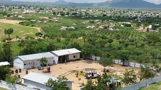 Cameroun : la "Grande Muraille verte" érigée à Minawao