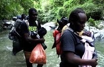 مهاجران هائیتی برای رسیدن به رؤیای زندگی بهتر در آمریکا از جنگل کلمبیا عبور می‌کنند 