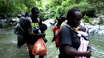مهاجران هائیتی برای رسیدن به رؤیای زندگی بهتر در آمریکا از جنگل کلمبیا عبور می‌کنند