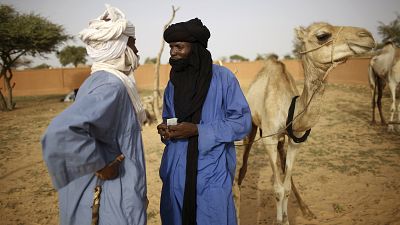  'Cannon fodder' ? Joblessness, jihadists stalk Niger's nomad youth