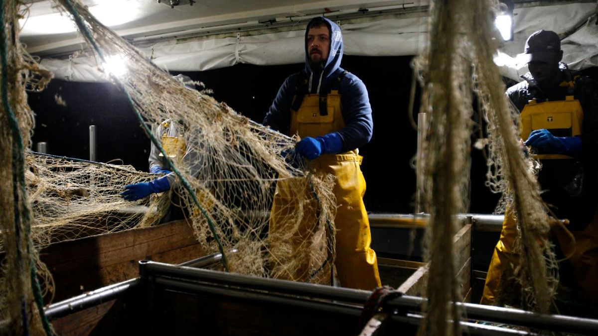 According to estimates, EU fisheries now face a 25% reduction of their catch value in UK waters.