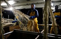 According to estimates, EU fisheries now face a 25% reduction of their catch value in UK waters.