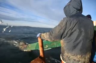 Fischer im Ärmelkanal