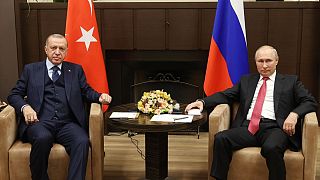 Erdoğan, Soçi'de Putin ile bir araya geldi