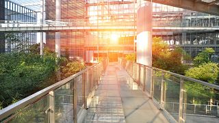 A walkway in a lush green office environment.