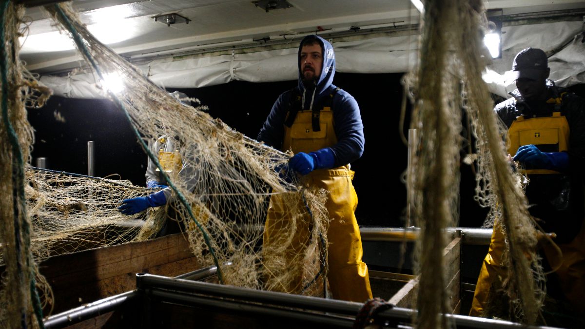 Muitos pescadores franceses em risco de perder o acesso às águas britânicas