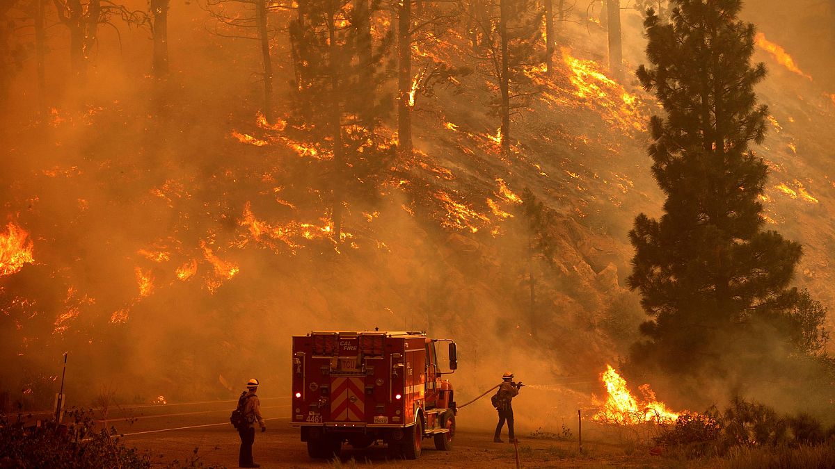 Google says the new wildfire layer will help people pplan their escape from forest fires