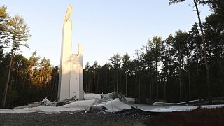 Remains of the wind turbine remain in the forest in Haltern.