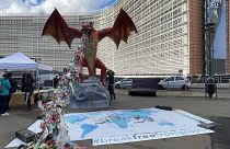 "Мусорный дракон" требует запретить экспорт пластиковых отходов