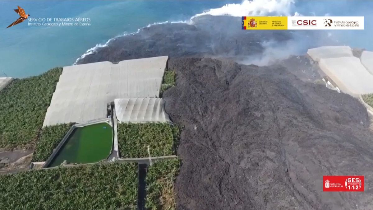 Captura de un vídeo IGME de la lengua de lava avanzando entre las plataneras