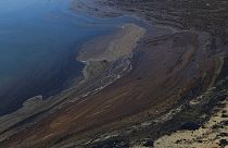 Derrame de petróleo na Califórnia encerra praias