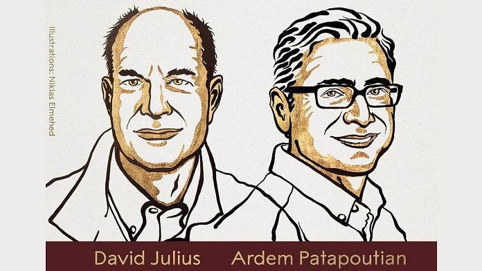 Nobel Prize in Physiology or Medicine awarded to David Julius and Ardem Patapoutian